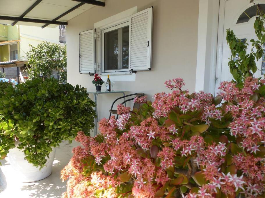 Michaels Flower House Kanálion Екстериор снимка